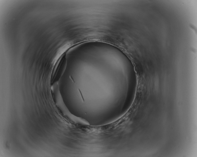 X0000091500099200708231453