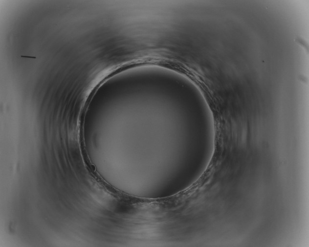 X0000091500100200708231453