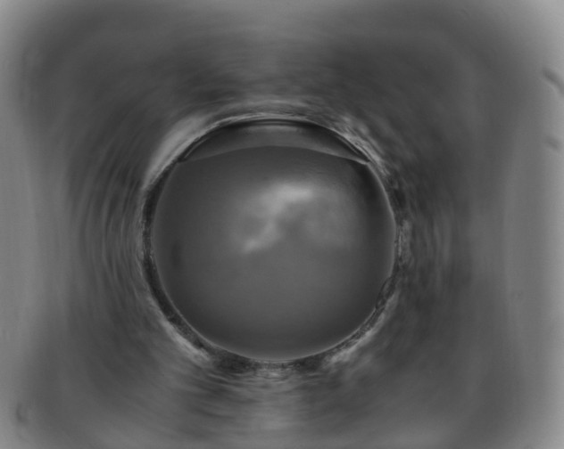 X0000091500101200708231453