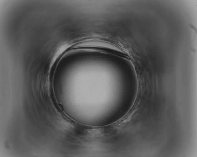 X0000091500102200708231453