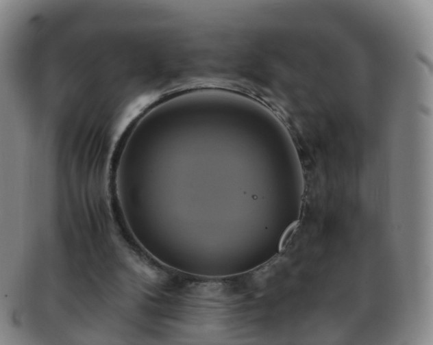 X0000091500104200708231453