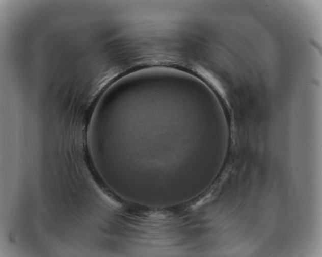 X0000091500105200708231453