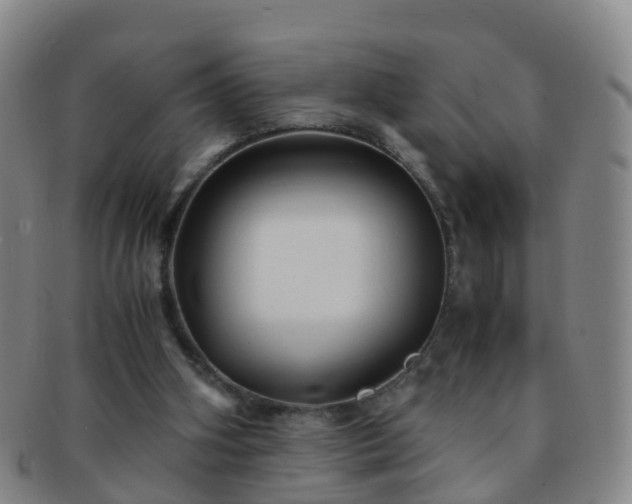 X0000091500106200708231453