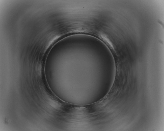 X0000091500108200708231453