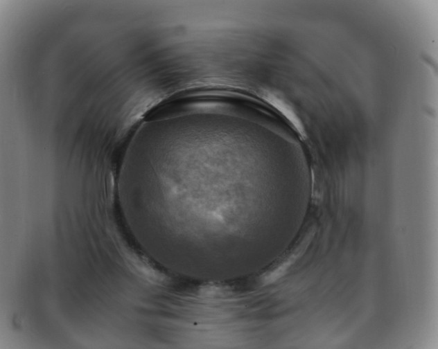 X0000091500109200708231453