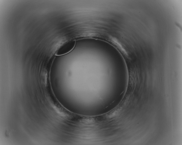 X0000091500110200708231453