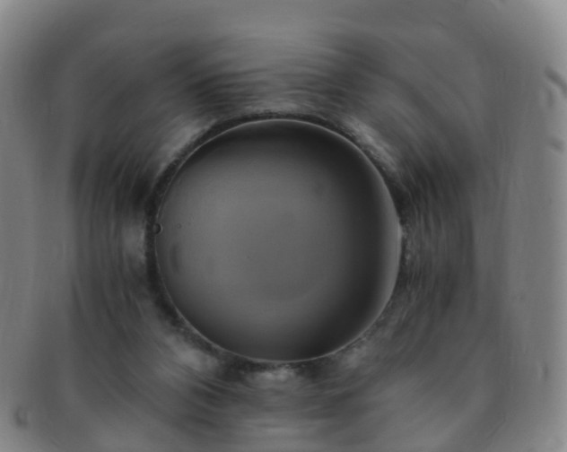 X0000091500112200708231453