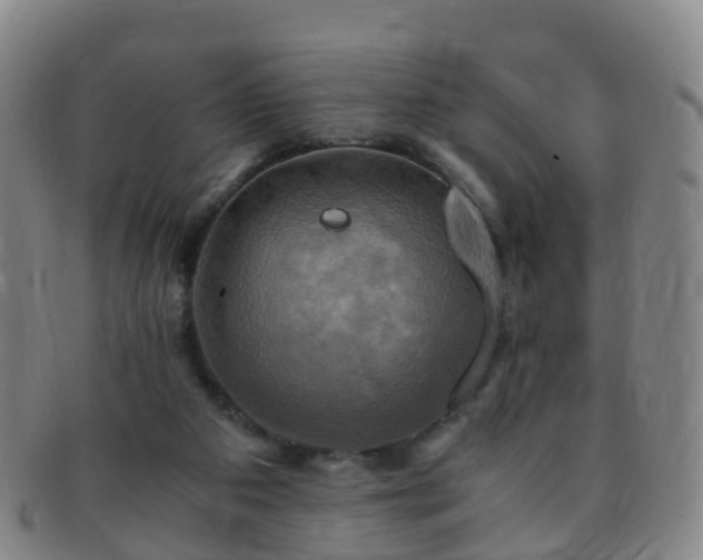 X0000091500113200708231453