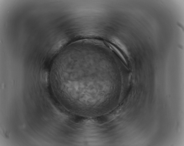 X0000091500115200708231452