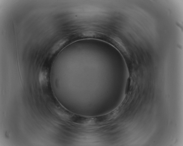 X0000091500116200708231452