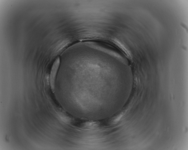 X0000091500117200708231452