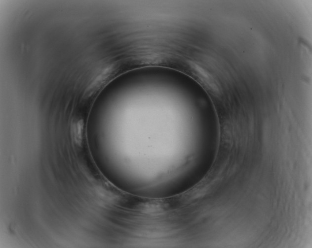 X0000091500118200708231452