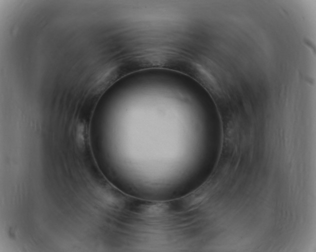 X0000091500122200708231452