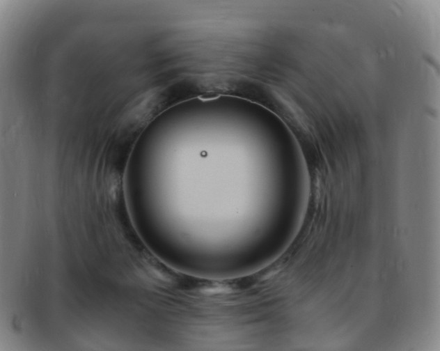X0000091500125200708231452
