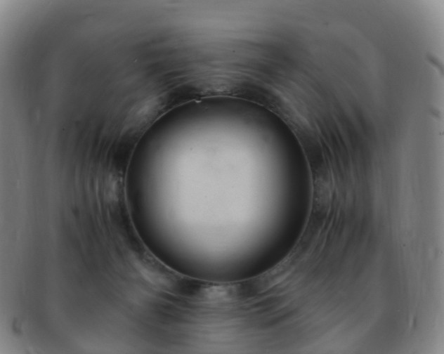 X0000091500126200708231452