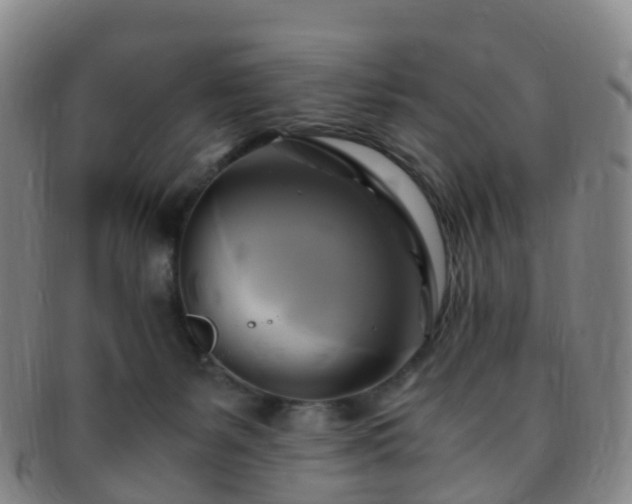 X0000091500127200708231452