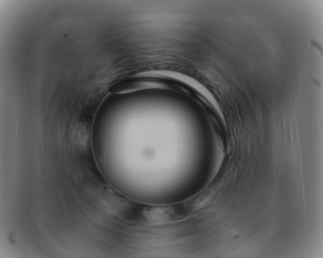 X0000091500129200708231452