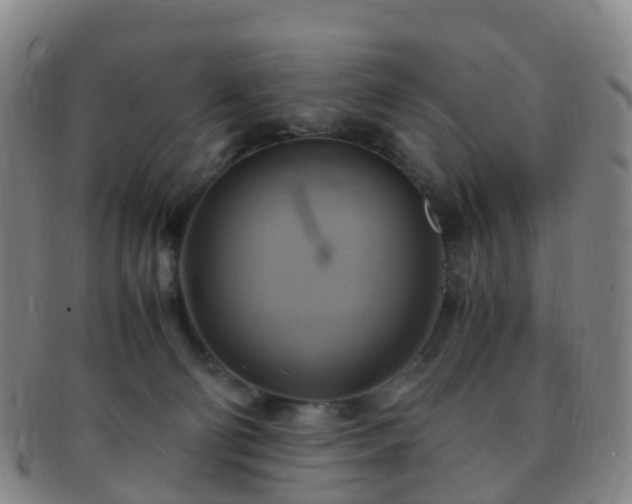 X0000091500130200708231452