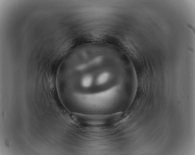 X0000091500131200708231452