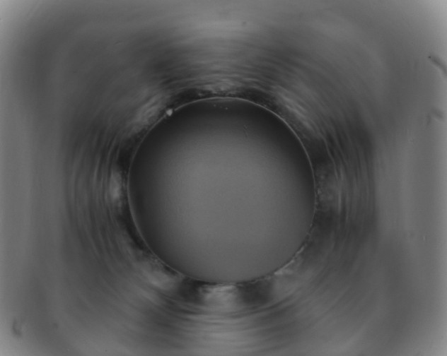 X0000091500132200708231452