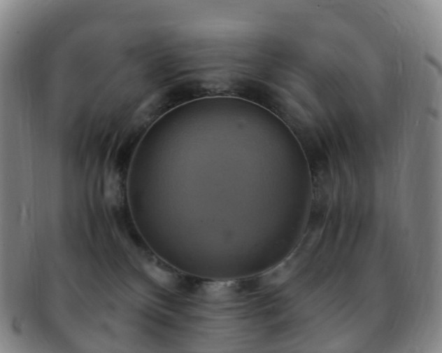 X0000091500136200708231452