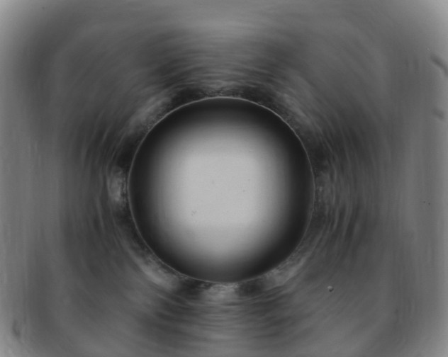 X0000091500138200708231452