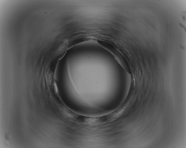 X0000091500139200708231452