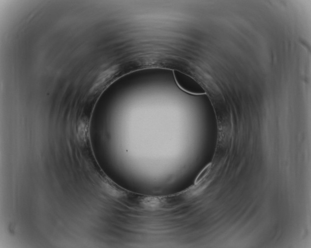 X0000091500142200708231452