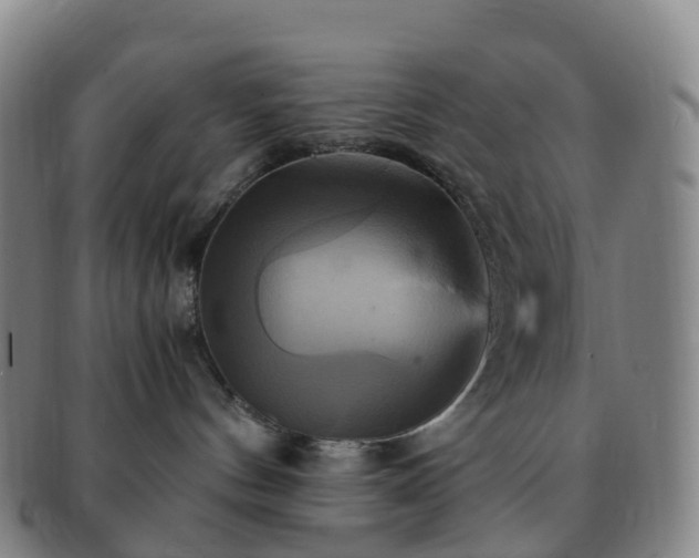 X0000091500144200708231452