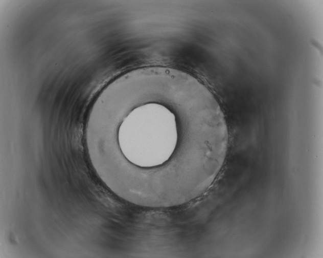 X0000091500146200708231451