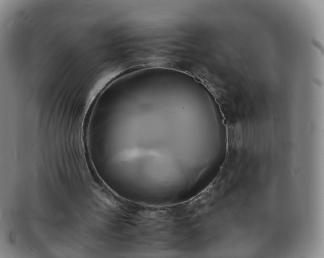 X0000091500147200708231451