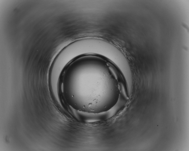 X0000091500148200708231451