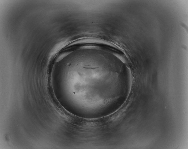X0000091500149200708231451