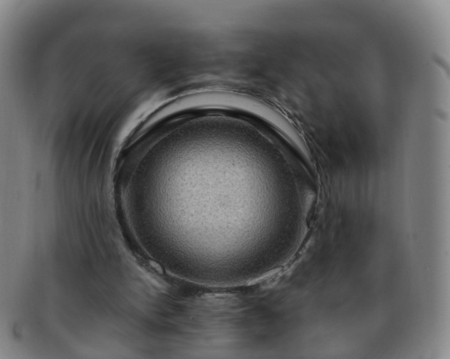 X0000091500150200708231451