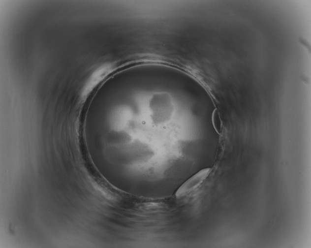X0000091500151200708231452
