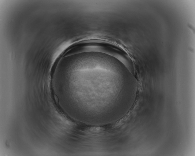 X0000091500152200708231452