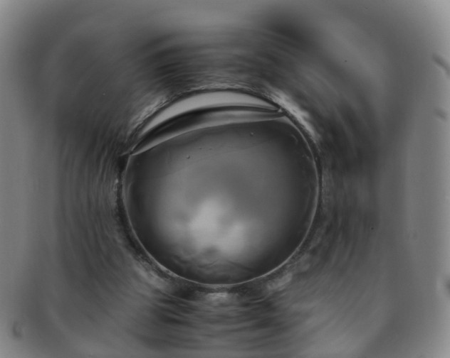 X0000091500153200708231452