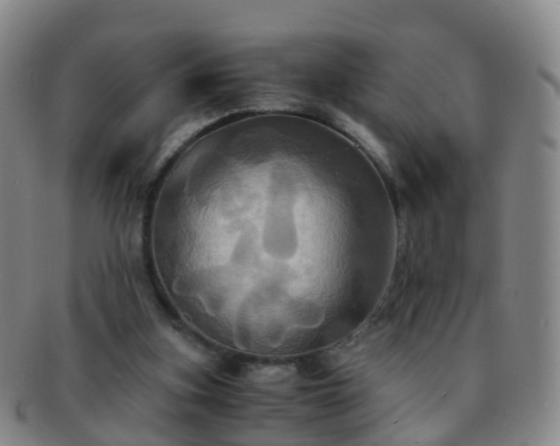 X0000091500155200708231452