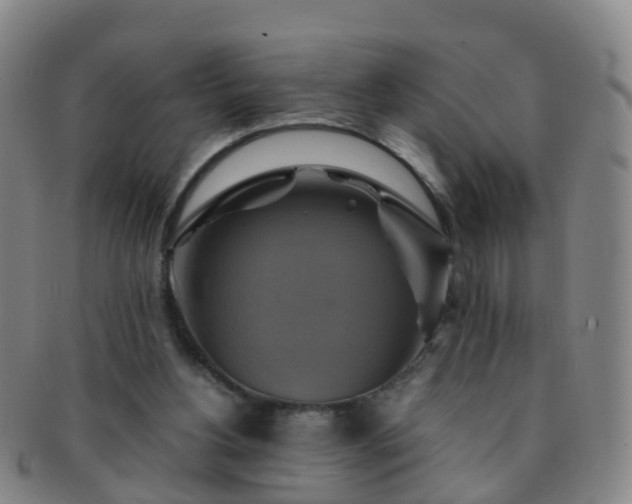 X0000091500156200708231452