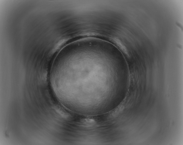 X0000091500159200708231452