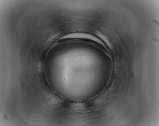 X0000091500161200708231452