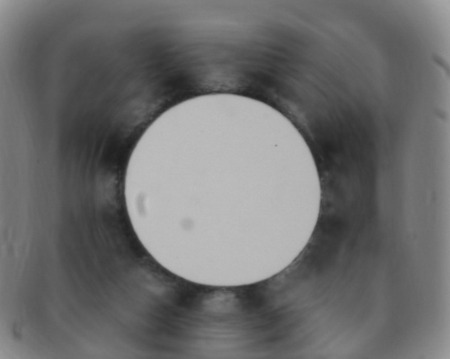 X0000091500162200708231452