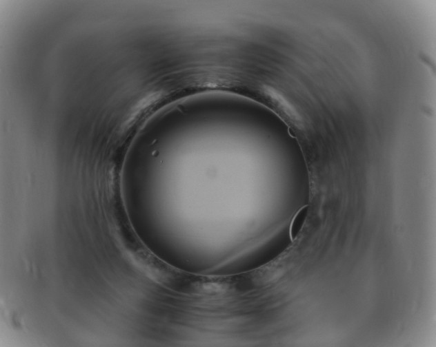 X0000091500163200708231452