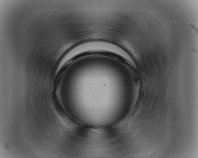 X0000091500164200708231452