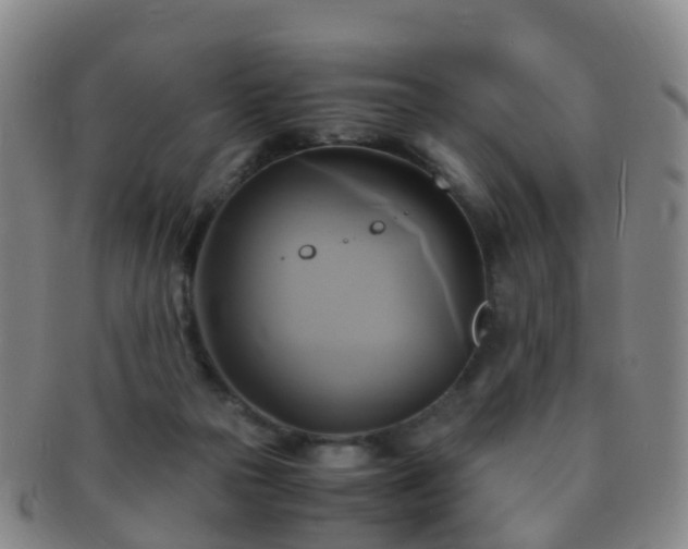 X0000091500169200708231452
