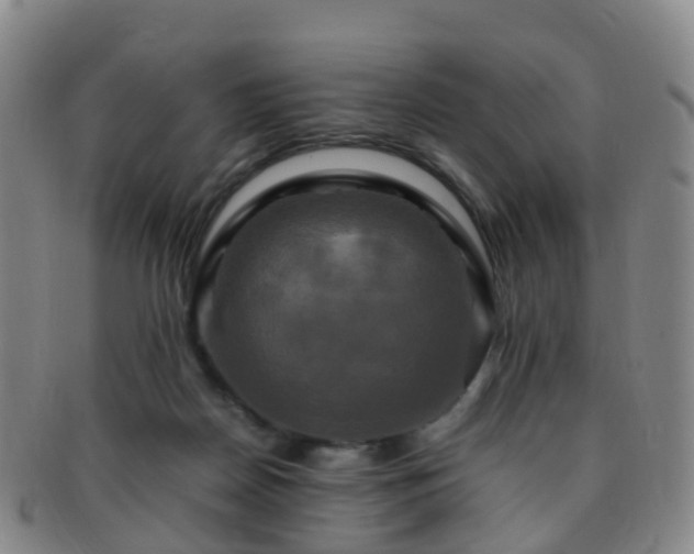 X0000091500170200708231452