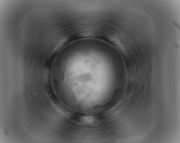 X0000091500171200708231452