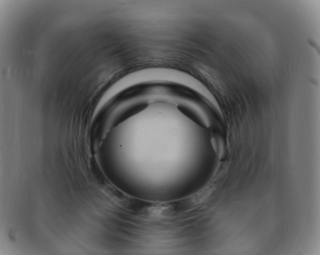 X0000091500172200708231452