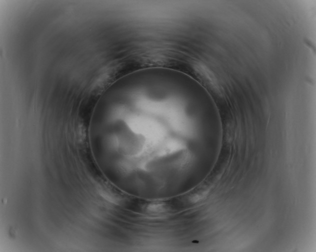 X0000091500173200708231452