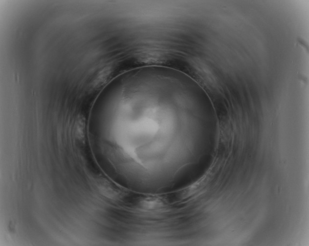 X0000091500175200708231452